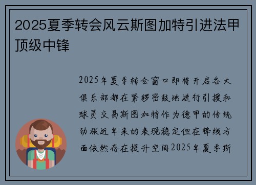 2025夏季转会风云斯图加特引进法甲顶级中锋 2025夏季转会风云斯图加特引进法甲顶级中锋